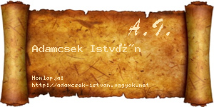 Adamcsek István névjegykártya